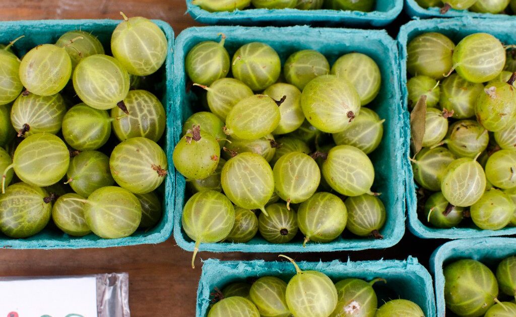 gooseberries