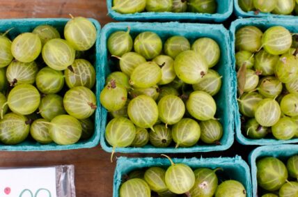 gooseberries
