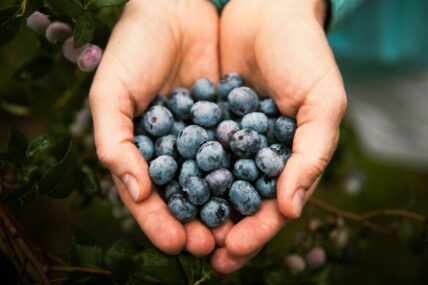 blueberries