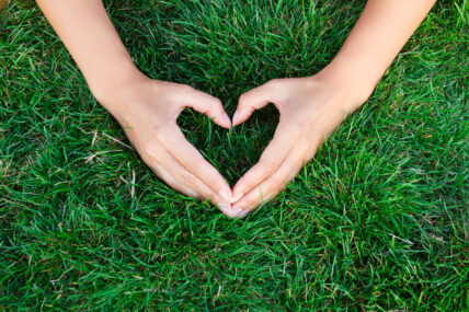 hands in the grass, heart hands