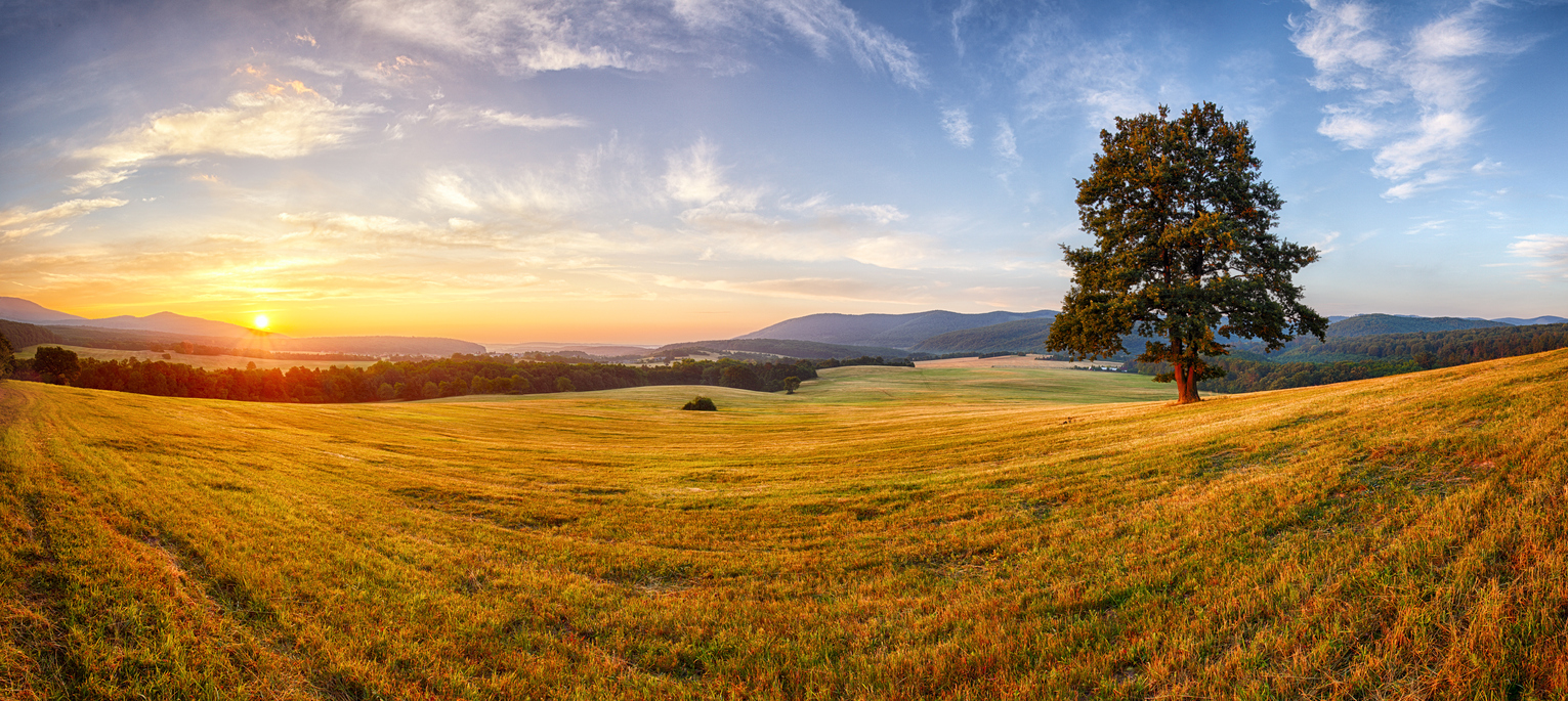Certified organic acreage