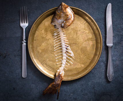 Is the Future of Food Fish-Free