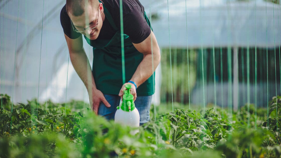 Organic Hydroponic Operations Allegedly Using Glyphosate