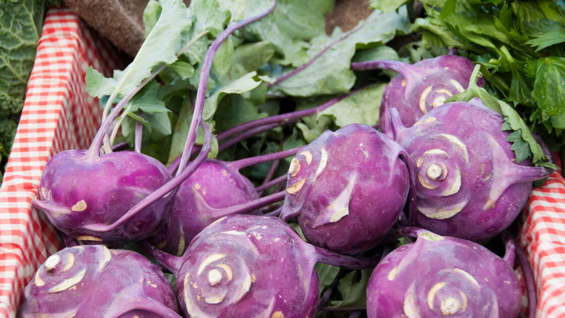 kohlrabi photo