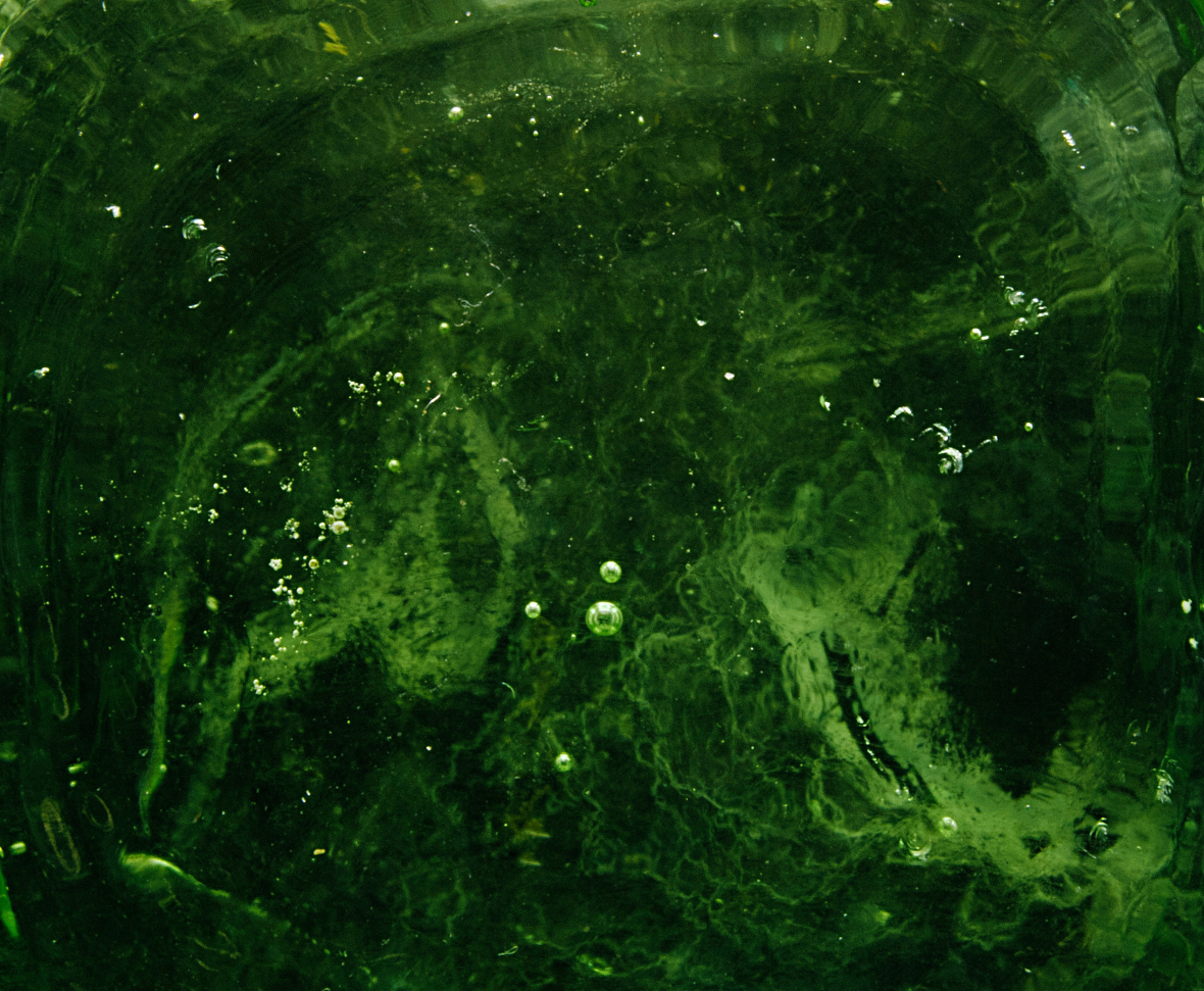 Image deep green liquid with bubbles, magnified and filling image representing chlorophyll benefits via Organic Authority.