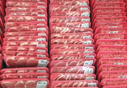 meat