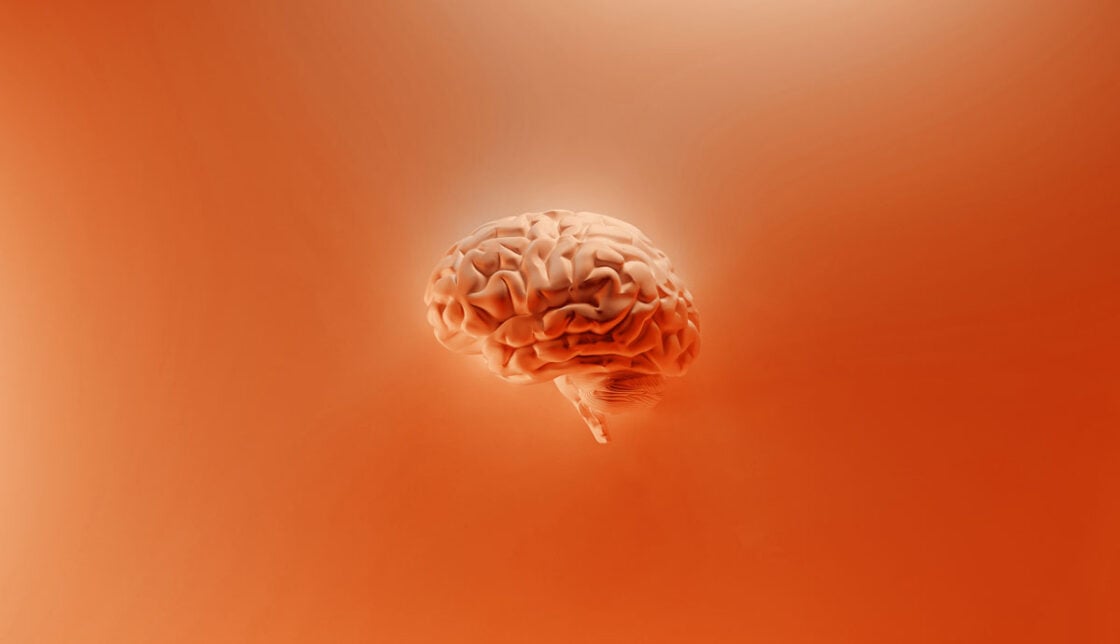 Image of a 3D brain in an orange tone on an orange background. This calls to mind mental fitness which is just as important as physical fitness for our health.