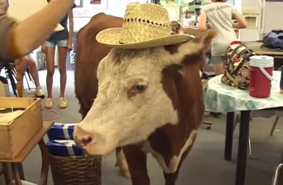 milkshake the cow