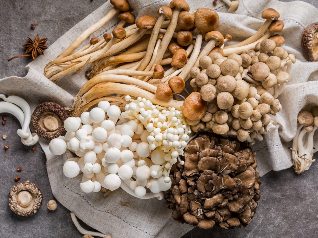 study: mushrooms might reduce brain decline