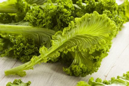 Mustard greens recipes
