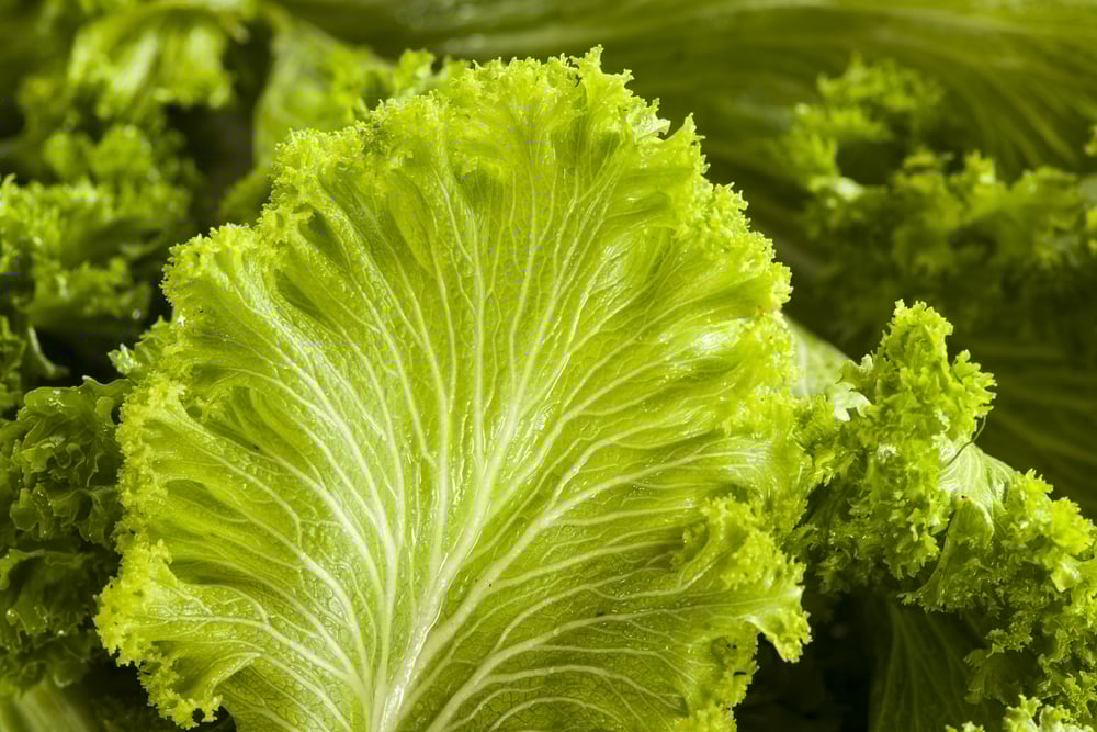 mustard greens