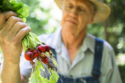New Organic Label Will Hold Farmers to Higher Standards Than USDA Certification