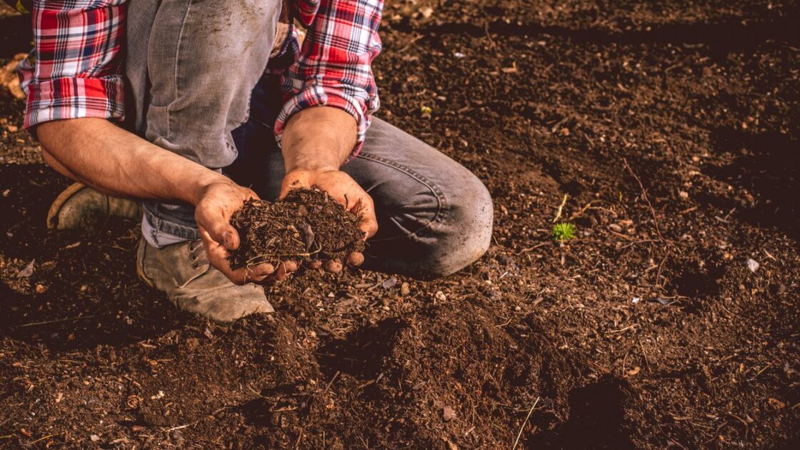 New Study Shows Organic Soil Has a 26 Percent Higher Potential for Carbon Storage