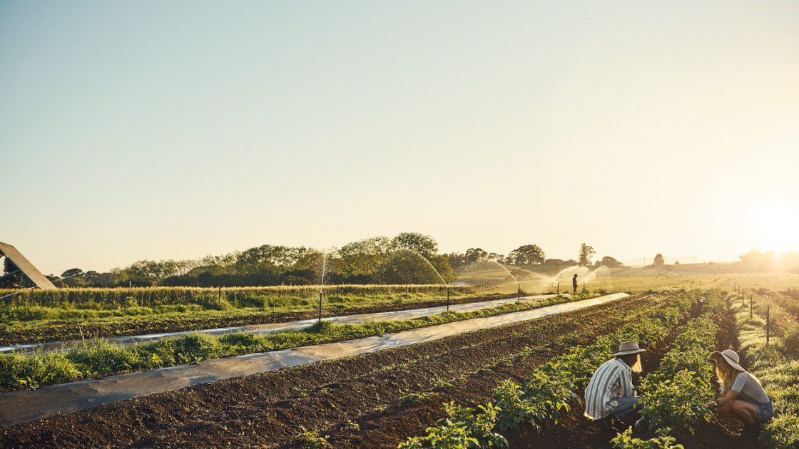 Organic Agriculture May Reduce Greenhouse Gas Emissions, New Study Shows