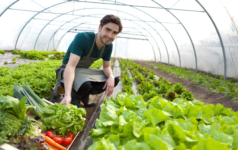 USDA Funding to Help Small Farmers with Organic Certification Costs