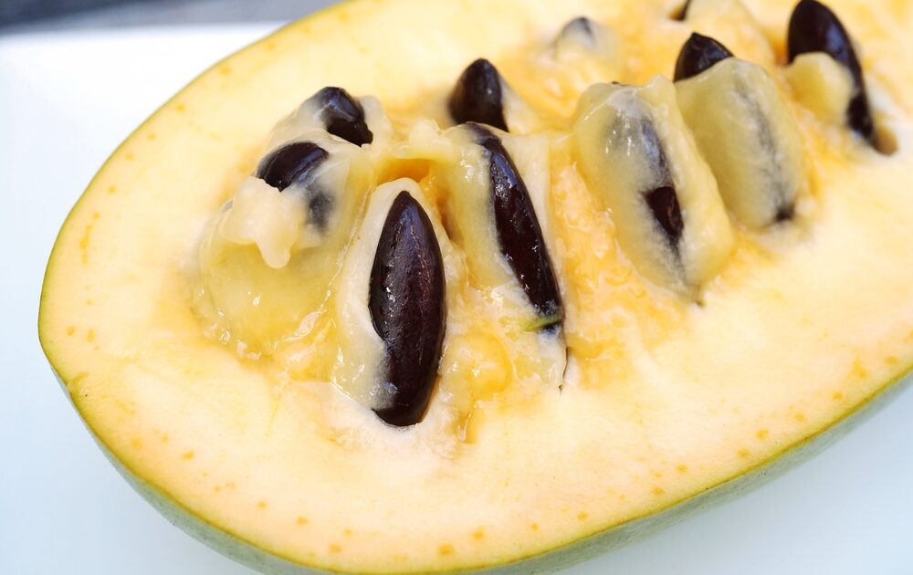 Pawpaw fruit cut open.