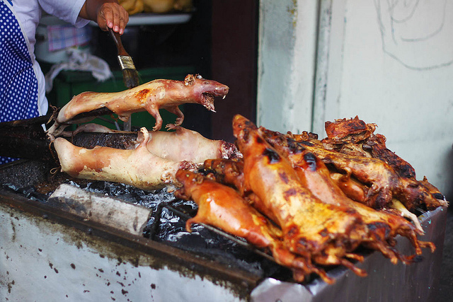 peruvian cuisine cuy