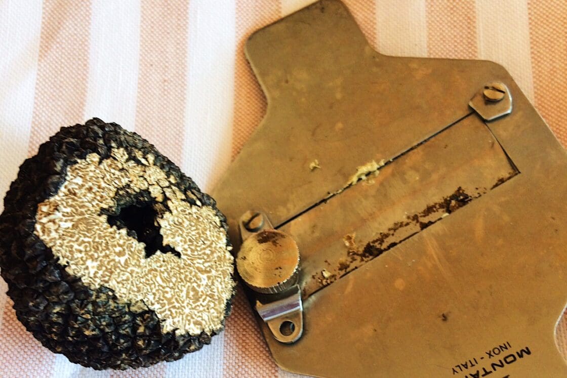 vBlack Truffle Hunting in Italy