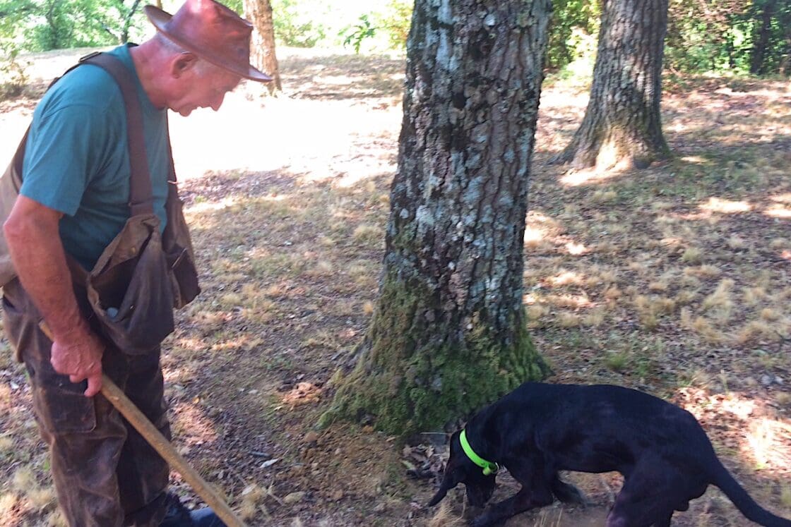 Black Truffle Hunting in Italy