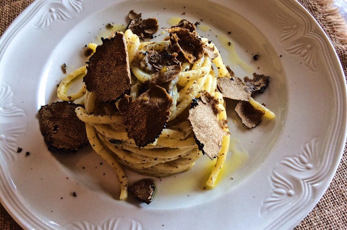vBlack Truffle Hunting in Italy