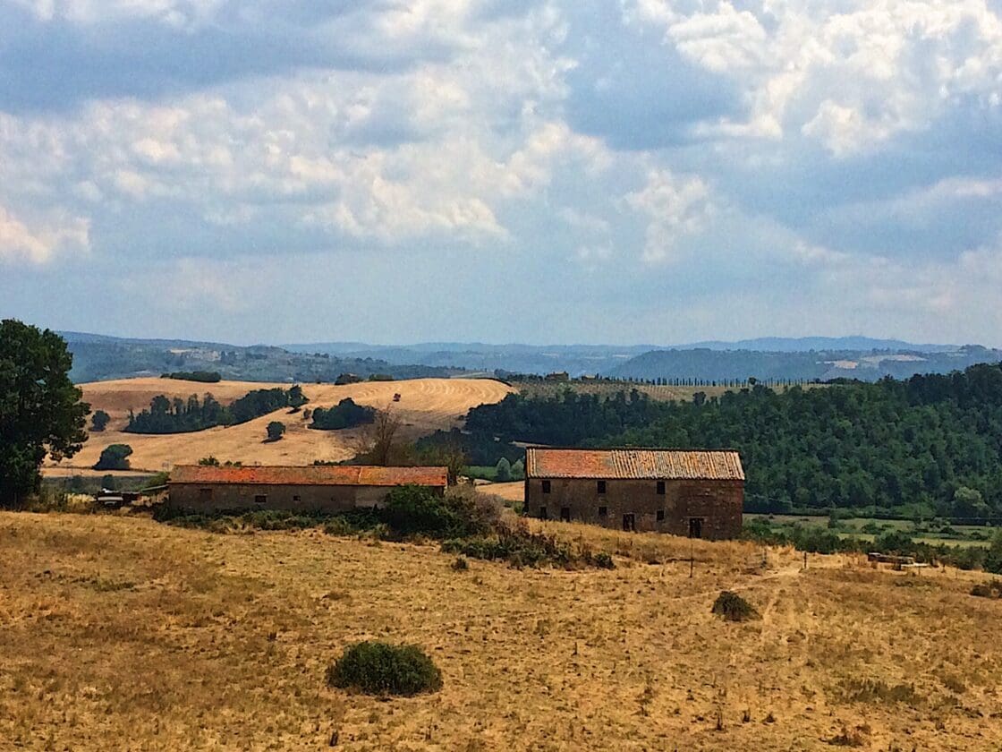Black Truffle Hunting in Umbria