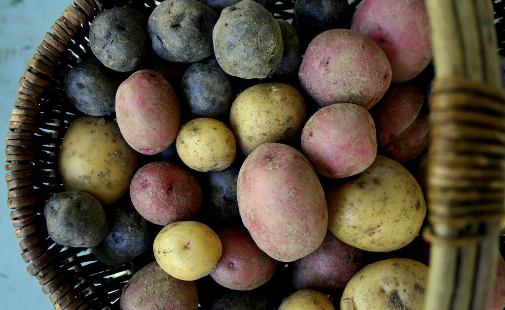 potatoes