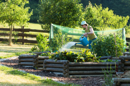 There are definite advantages to using raised beds for gardening.