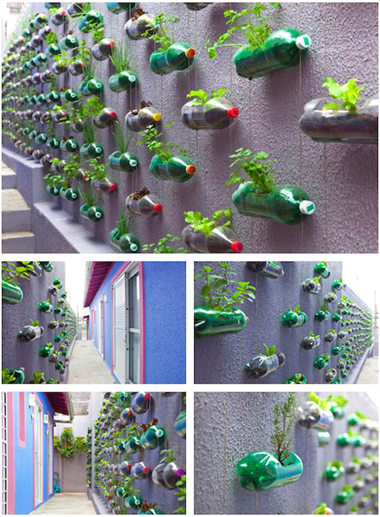 vertical garden