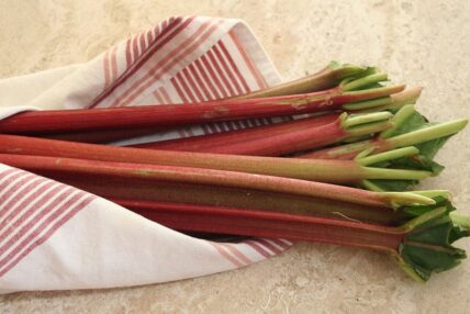 rhubarb