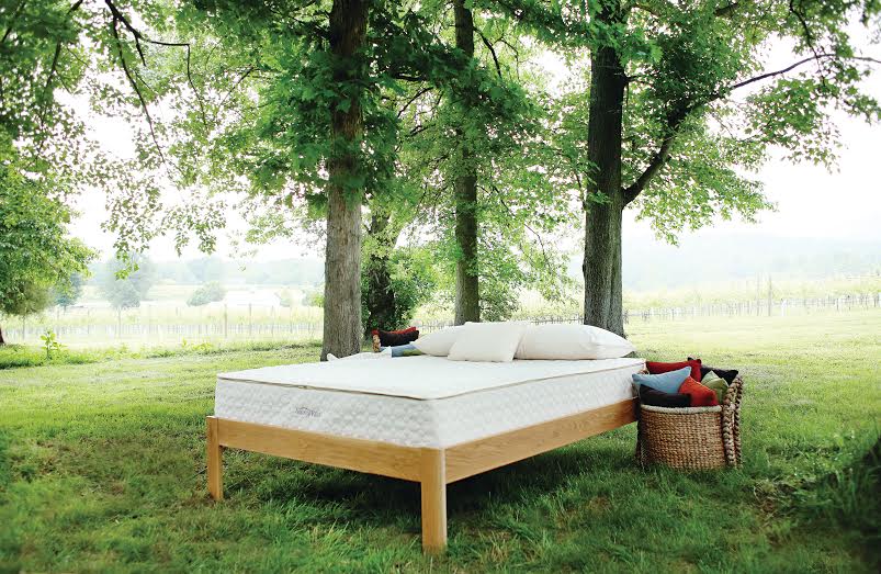 Savvy Rest