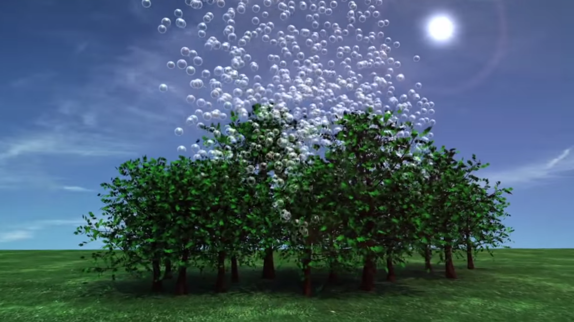 Oh, This? Just a Bunch of Small-Scale Farmers About to Save the Human Race [Video]