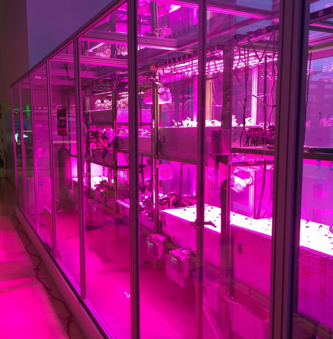 CityFarm