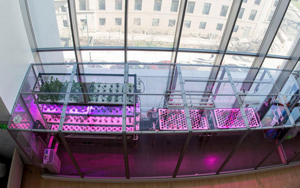 Growing Food With Your Computer Because We Live in the Future
