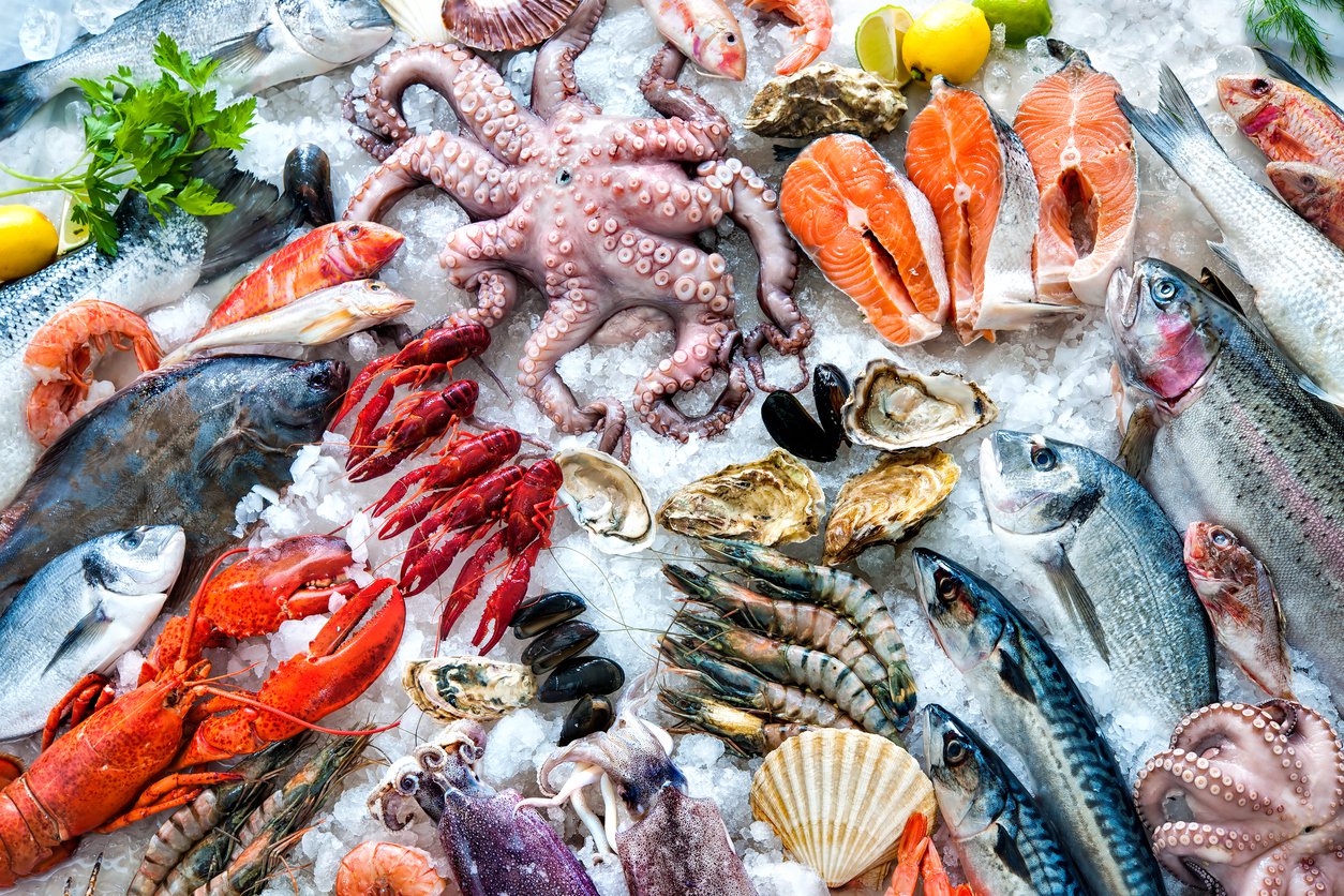 illegal fishing