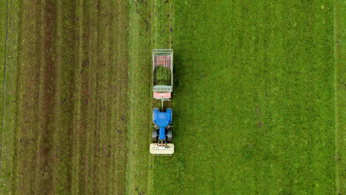 Seed Company Sold Bad Seeds to Black Farmers on Purpose, Says Discrimination Lawsuit