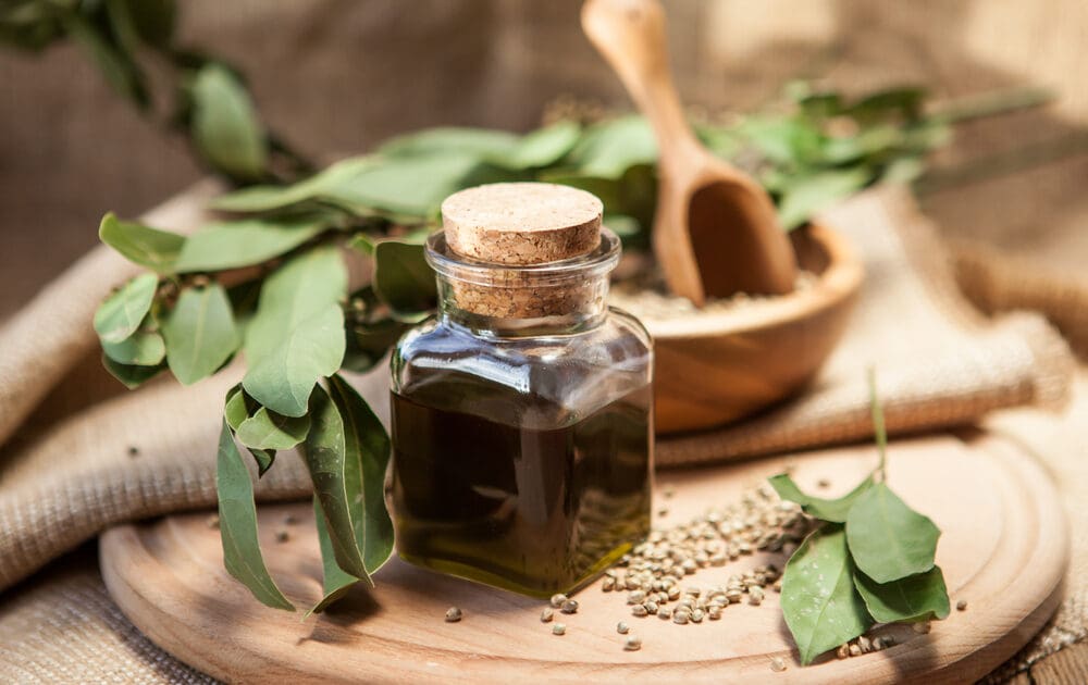 These Hemp Oil Benefits Nourish You Inside and Out