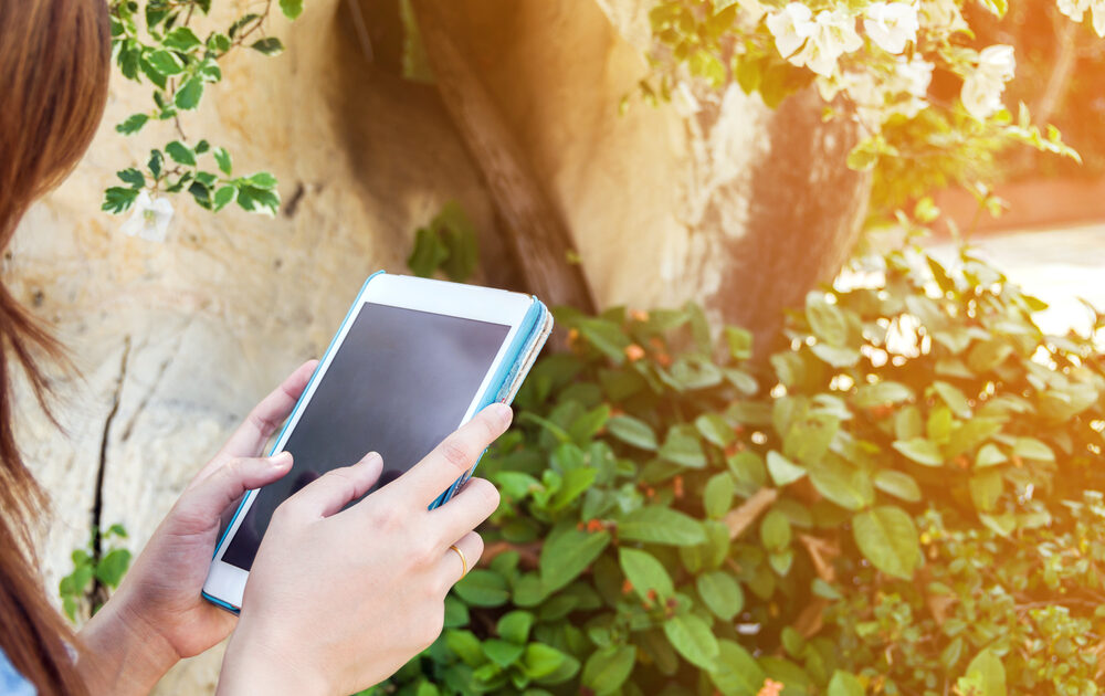 garden gadgets go high tech