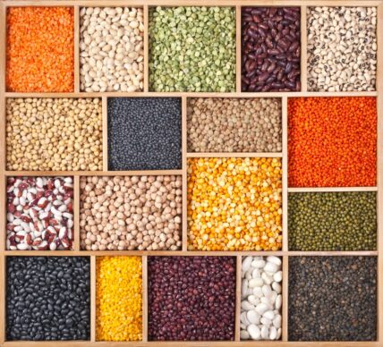 pulses food