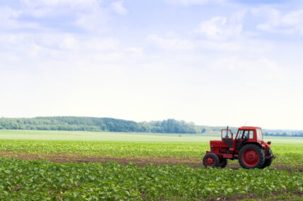 organic farms