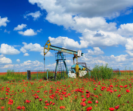 California Considers 'Grown With Fracking Water' Labels on Food