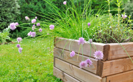 Self-watering planters are helpful to have.