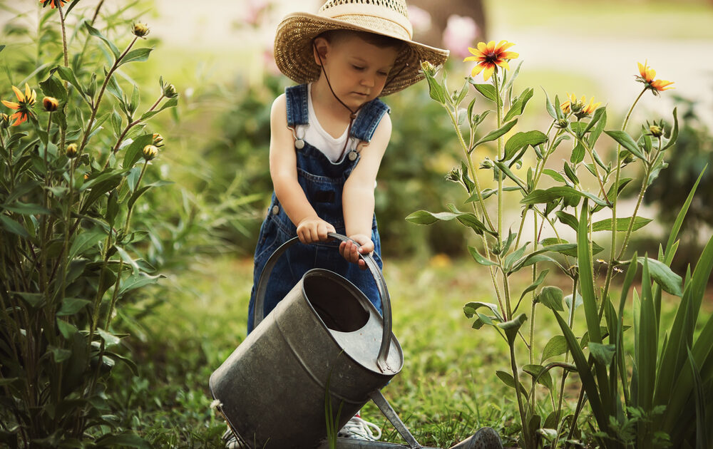 5 Wise Watering Techniques for Late (Late!) Summer Gardens