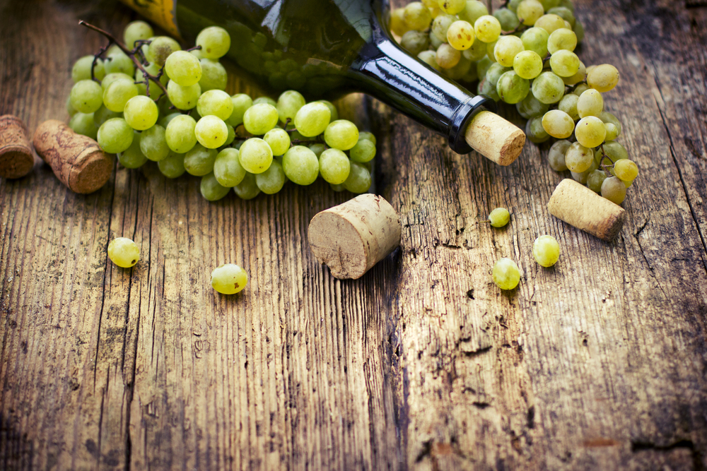 Is Organic Wine Better than Conventional? The Surprising (Objective!) Answer