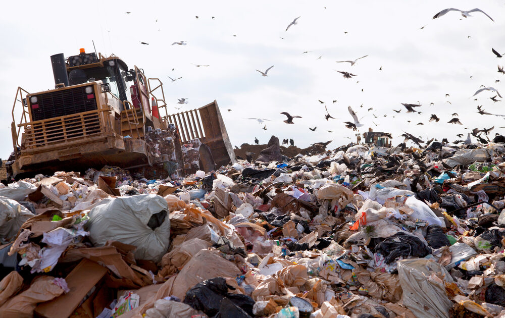 food waste ends up in landfills