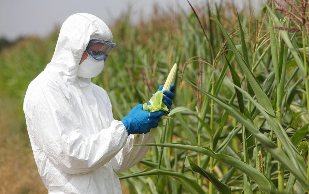 What’s the Biggest Issue With GMOs? (Hint: It’s Not Exactly Labeling)
