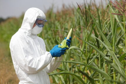 What’s the Biggest Issue With GMOs? (Hint: It’s Not Exactly Labeling)