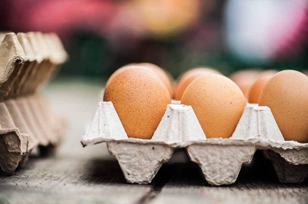 General Mills Makes Big Move Toward Humane Animal Treatment Across Its Supply Chain