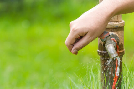 Food companies need to invest in sustainable water.