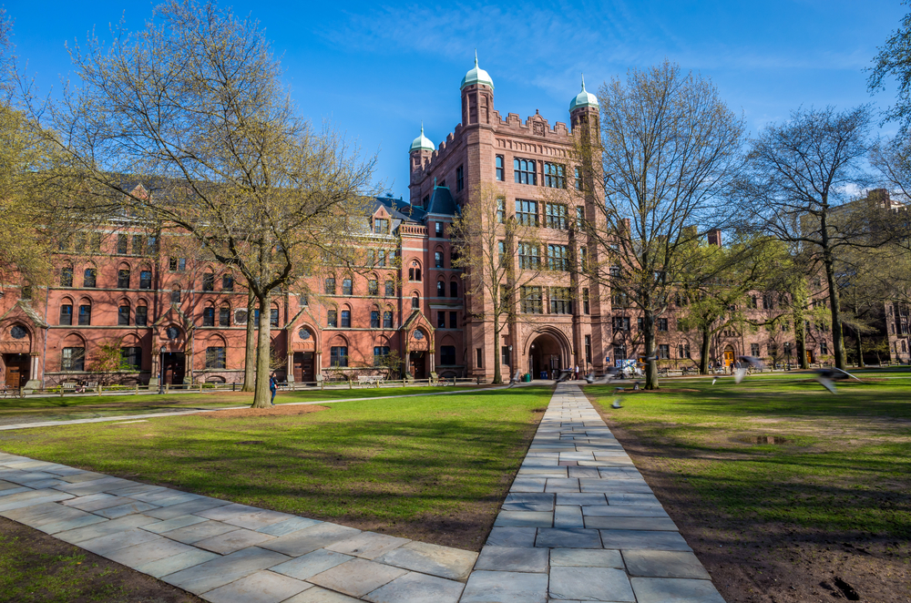 Study agriculture at college to get a job after.