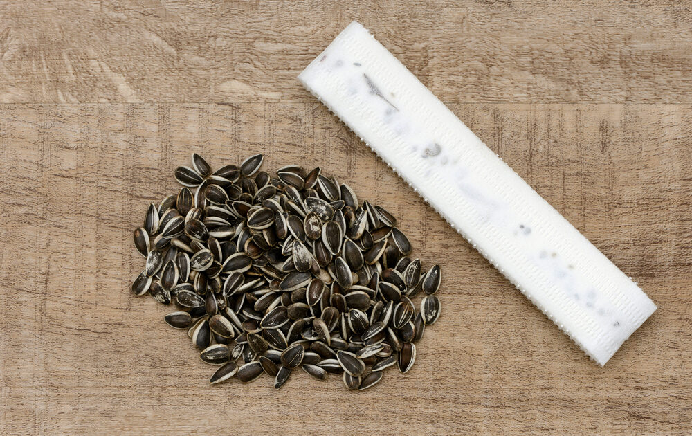 Seed tape DIY in 8 easy steps